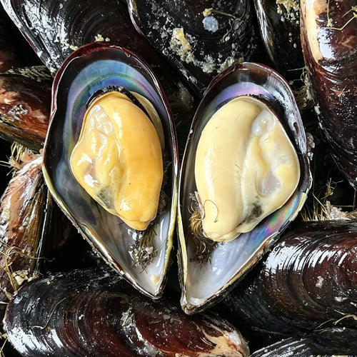 Large Hand-Picked Frozen Mussels - view 2