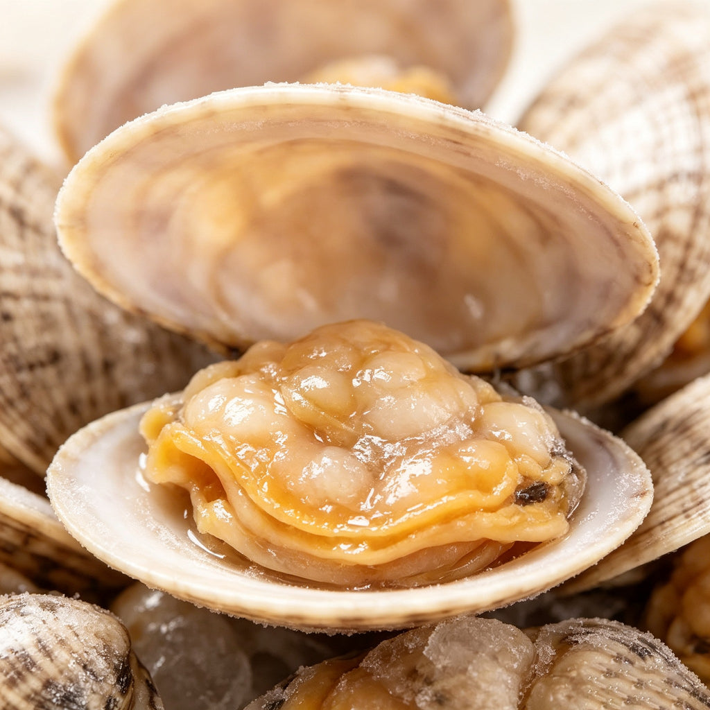 Premium Frozen Clams, Shell On - view 1