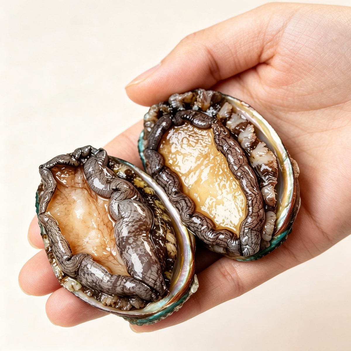 Premium Frozen Whole Abalone - view 1